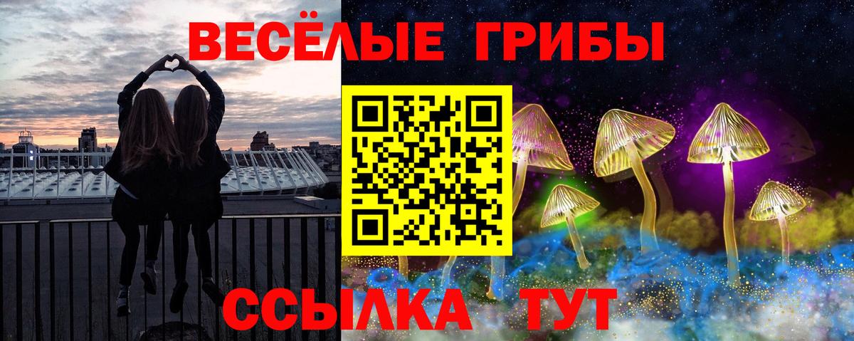 Галлюциногенные грибы ЛСД Котовск